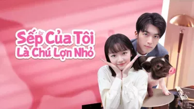 Sếp Của Tôi Là Chú Lợn Nhỏ