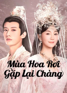 Mùa Hoa Rơi Gặp Lại Chàng (2025)