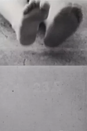 23,5 Độ Nghiêng