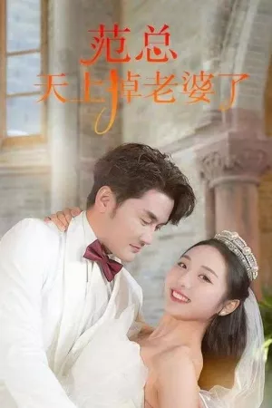 Vui Tung Trời