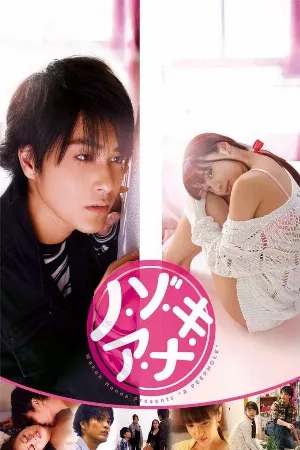Nozoki Ana