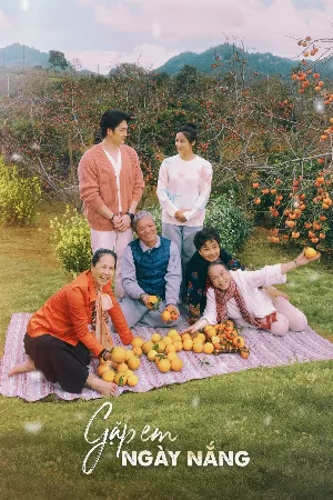 Gặp em ngày nắng