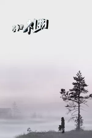 14 Ngày 12 Đêm