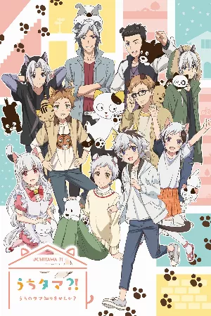 Uchi Tama?! Uchi no Tama Shirimasen ka?