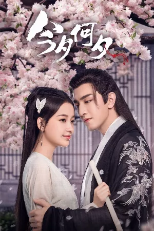 Kim Tịch Hà Tịch