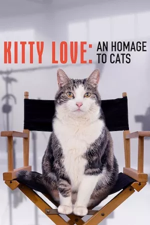 Kitty Love: Mèo cưng nhà mình