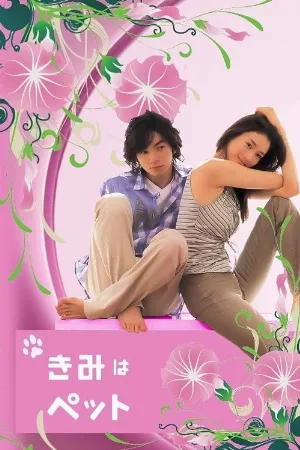 Thú Cưng Của Tôi