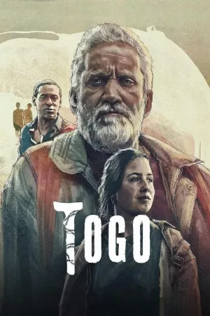 Chú Chó Togo