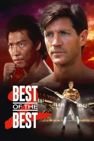 Nhất Đẳng Karate 2