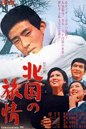 Bắc Du Ký: Tiên Hồn Hạ Phàm