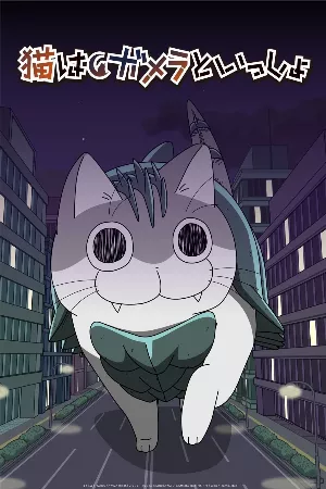 Nights with a Cat